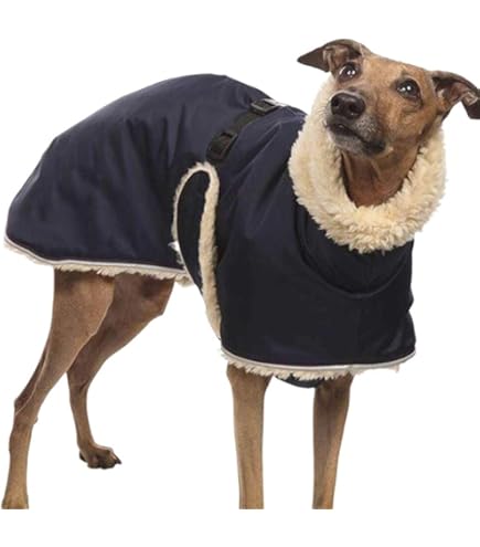 Amazon | イタリアングレーハウンド服 Houndy's リバーシブル オーバー